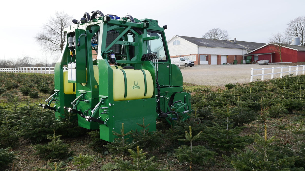 Nordmann-juletræer på plantagen